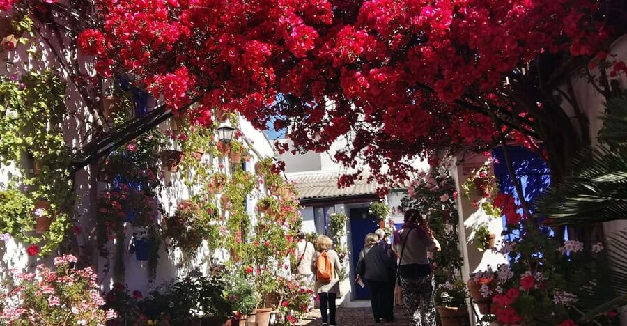 Cordoba Courtyards by Bike, Electric Bike - Why Cordoba’s blooming patios feel different when you bike