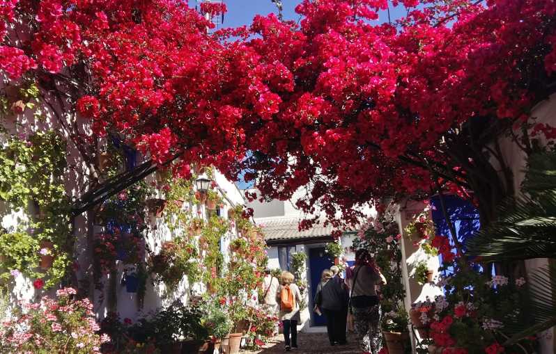 Cordoba Courtyards by Bike, Electric Bike - Where the tour starts, what you get, and how to show up ready