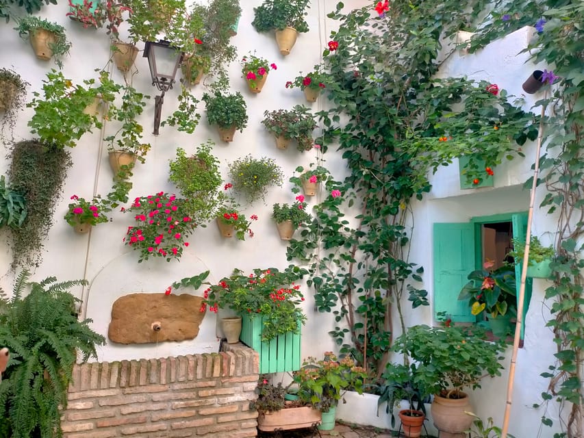 Cordoba Courtyards by Bike, Electric Bike - Electric vs normal bikes: choosing the effort level you want
