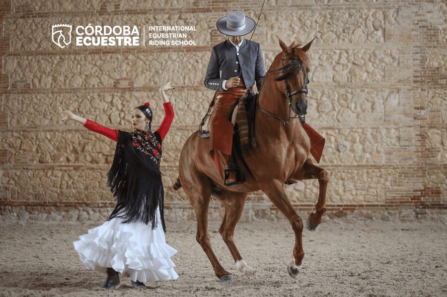 Cordoba: Equestrian Show General Entry - Why Caballerizas Reales makes this horse show feel like Córdoba