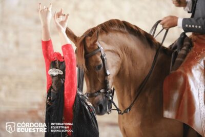 Equestrian Show General Entry