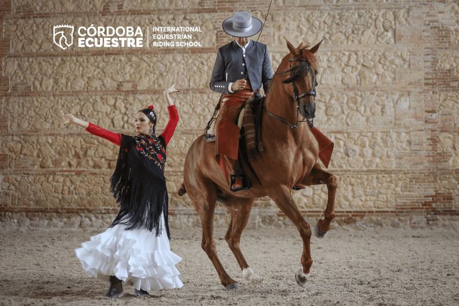 Cordoba: Equestrian Show General Entry - Value for $21: what you are actually buying