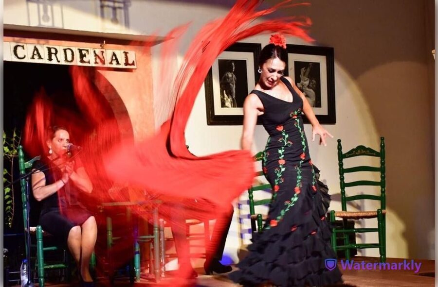 Córdoba: Flamenco Show Ticket with Drinks - Key things to know before you go