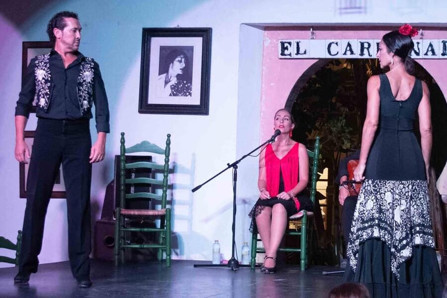 Córdoba: Flamenco Show Ticket with Drinks - Seven performers, multiple flamenco styles, and why it matters