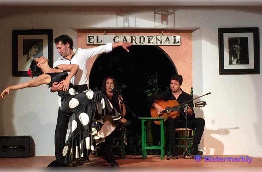 Córdoba: Flamenco Show Ticket with Drinks - Queues, check-in timing, and other small logistics