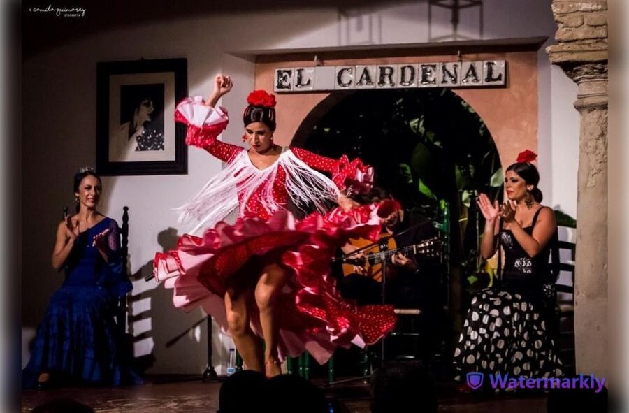 Córdoba: Flamenco Show Ticket with Drinks - Who should book this flamenco show