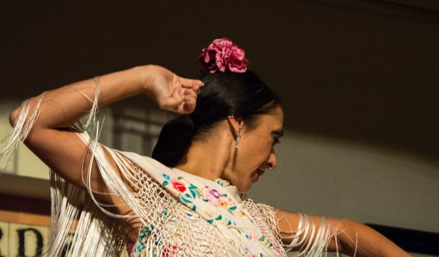 Córdoba: Flamenco Show Ticket with Drinks - What you get for about $29, including drinks
