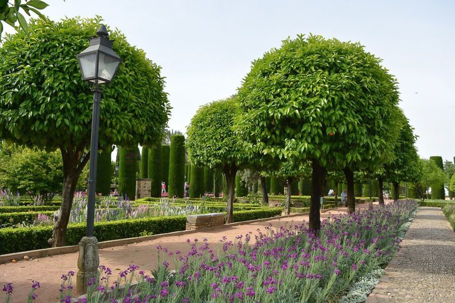 Cordóba: Gardens & Fortress of Catholic Monarchs Guided Tour - The Garden Setting: Why the Gardens Are Part of the Main Story