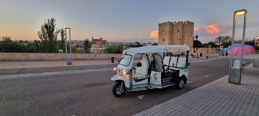 Córdoba: Guided City Tour by Tuk-Tuk - Why Córdoba on a Tuk-tuk Works So Well