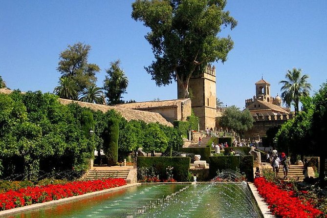 Cordoba Guided Tour Mosque and Cathedral from Seville - La Judería walking time: where the city starts to feel human