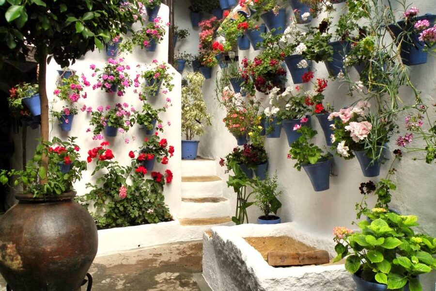 Córdoba: Guided Tour of the Patios - Why Córdoba Patios Feel Like a Time Machine