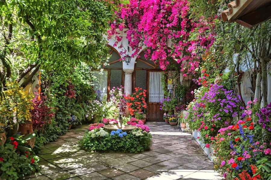 Córdoba: Guided Tour of the Patios - Guide Spotlight: What Top Guides Do Well