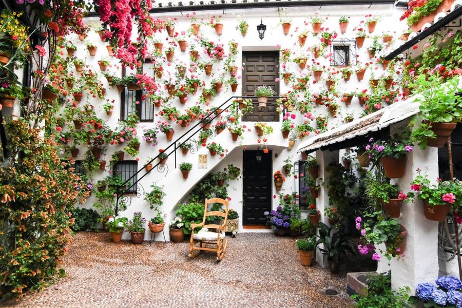 Córdoba: Guided Tour of the Patios - Price and Value: Why About $23 Can Work