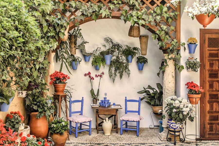 Córdoba: Guided Tour of the Patios - The 1.5-Hour Plan: What You’ll Actually See