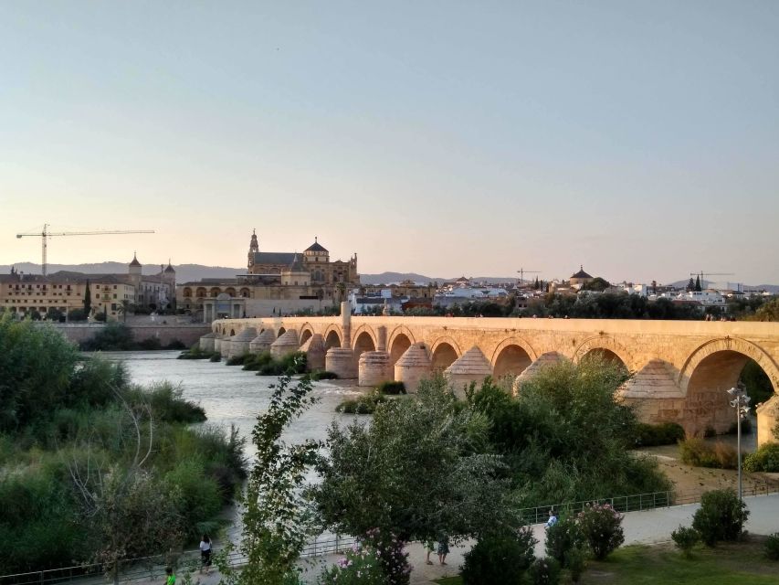 Córdoba Highlights Walking Tour - Quick takes on the Córdoba Highlights Walking Tour