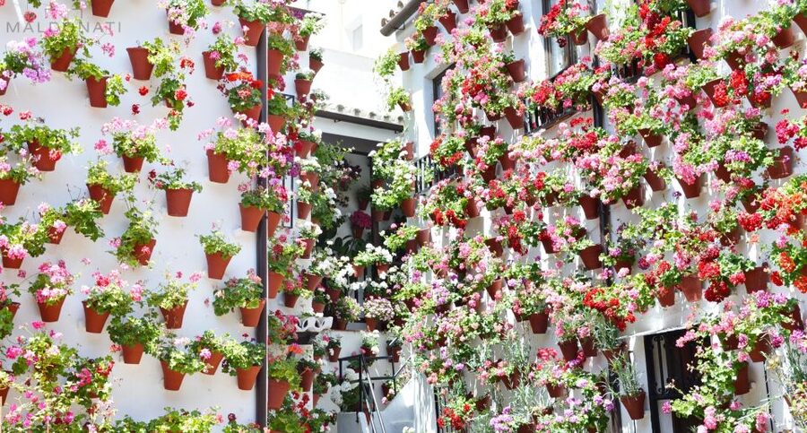 Córdoba Highlights Walking Tour - Two hours of Córdoba essentials: what this tour actually covers