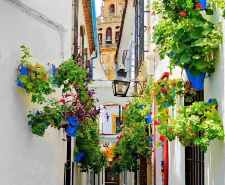 Cordoba: Historical Monuments of Cordoba City Walking Tour - Key highlights you will actually feel on the ground