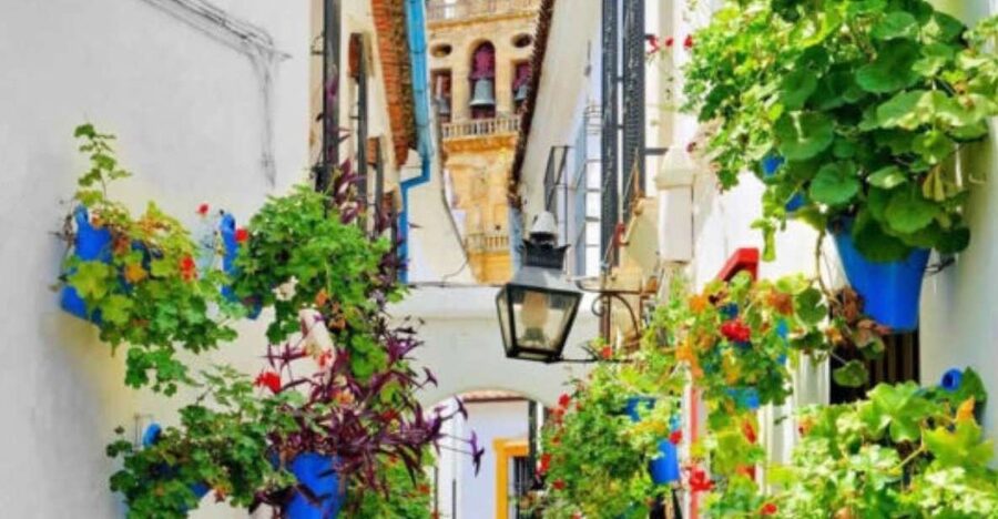Cordoba: Historical Monuments of Cordoba City Walking Tour - Córdoba Synagogue and the Jewish Quarter context that clicks