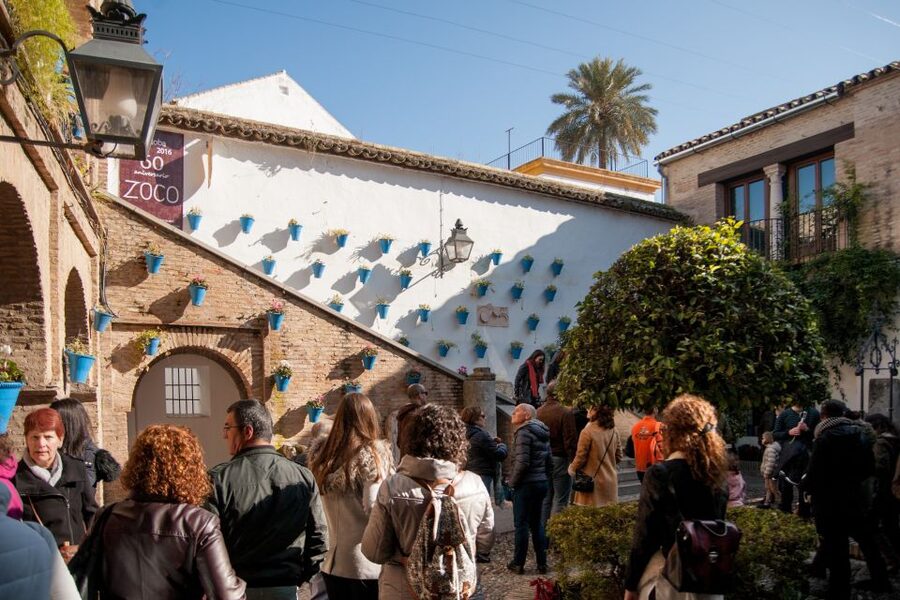 Cordoba: Jewish Quarter and Mosque-Cathedral Guided Tour - Pacing, Group Size, and How to Get the Most Out of It