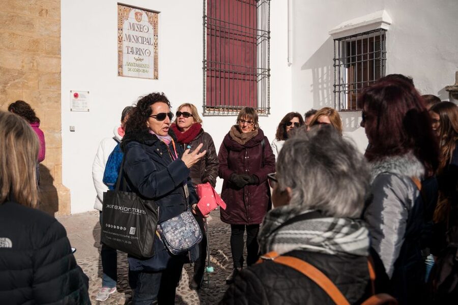 Cordoba: Jewish Quarter and Mosque-Cathedral Guided Tour - Who Should Book This Tour (and Who Might Prefer More Time)