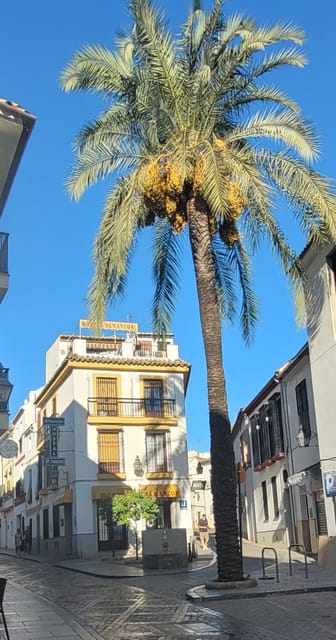Córdoba Mid-Morning Walk - Small Groups, Native English. - Roman Bridge: Where the City Feels Photogenic and Old