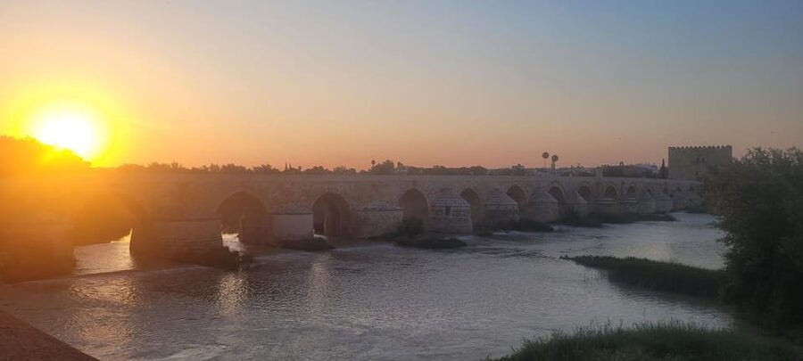 Córdoba Mid-Morning Walk - Small Groups, Native English. - Mosque-Cathedral Area: Major Views Without the Ticket Wait