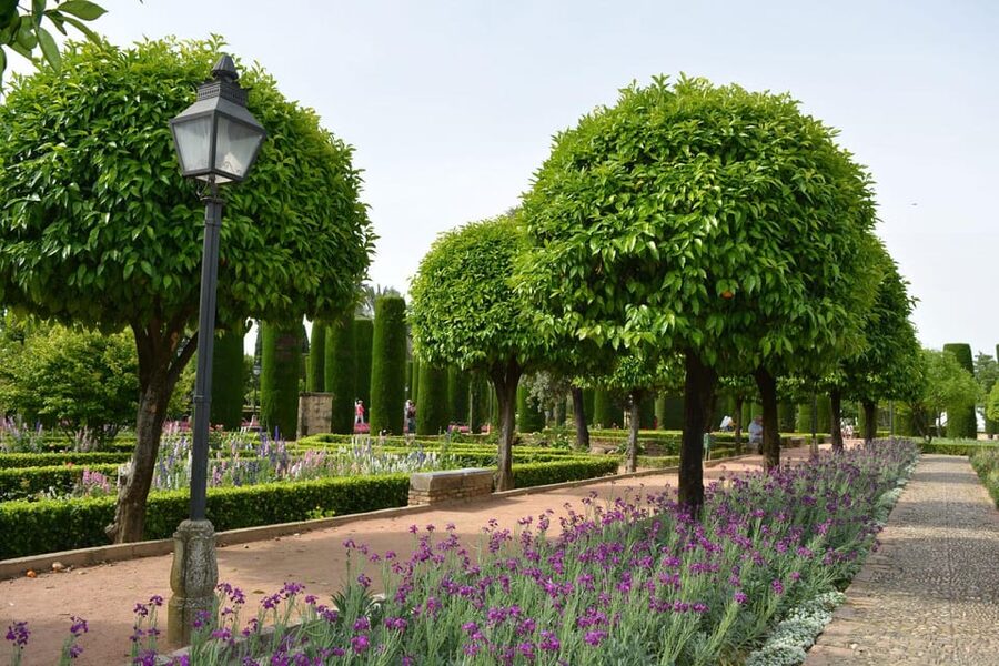 Cordoba: Monuments Walking Tour - Who this tour fits best, and who should reconsider