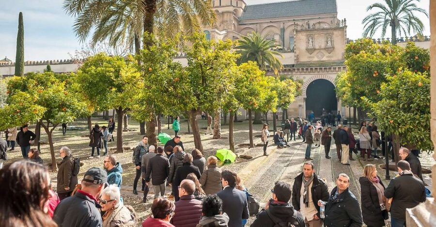 Cordoba: Monuments Walking Tour - Price and value: is $66 a smart spend?