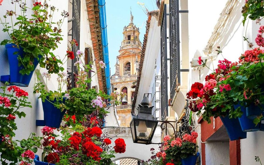 Córdoba: Mosque and Alcazar Private Tour with tickets - The Mosque-Cathedral visit: your guide makes the layers click