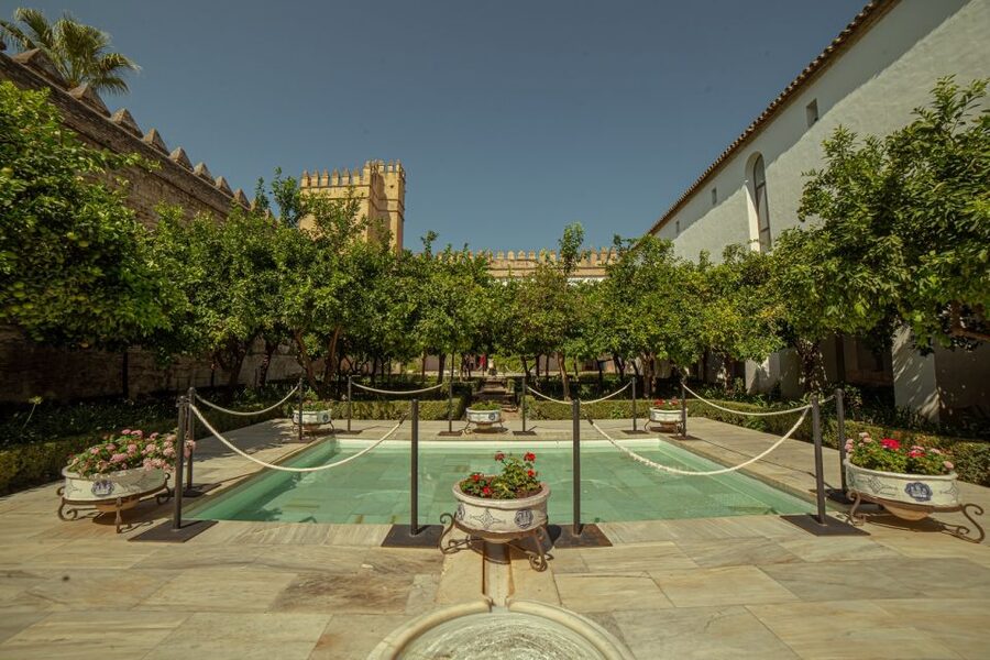 Córdoba: Mosque-Cathedral and Alcazar Tour - What the guide adds: clear narration in one language