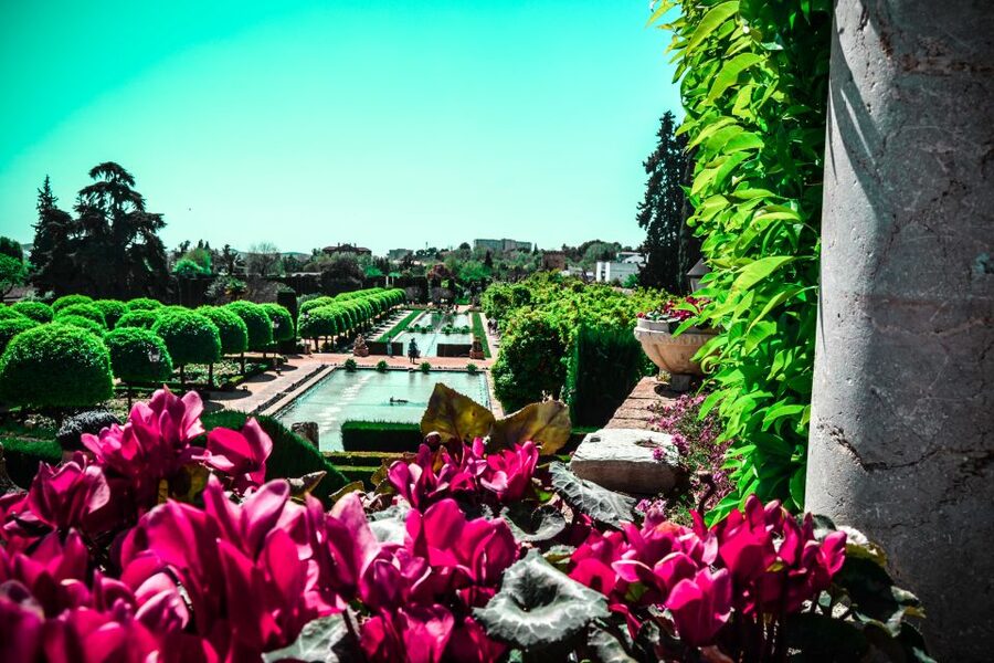 Córdoba: Mosque-Cathedral and Alcazar Tour - Alcázar Gardens: your end point and your best photo time