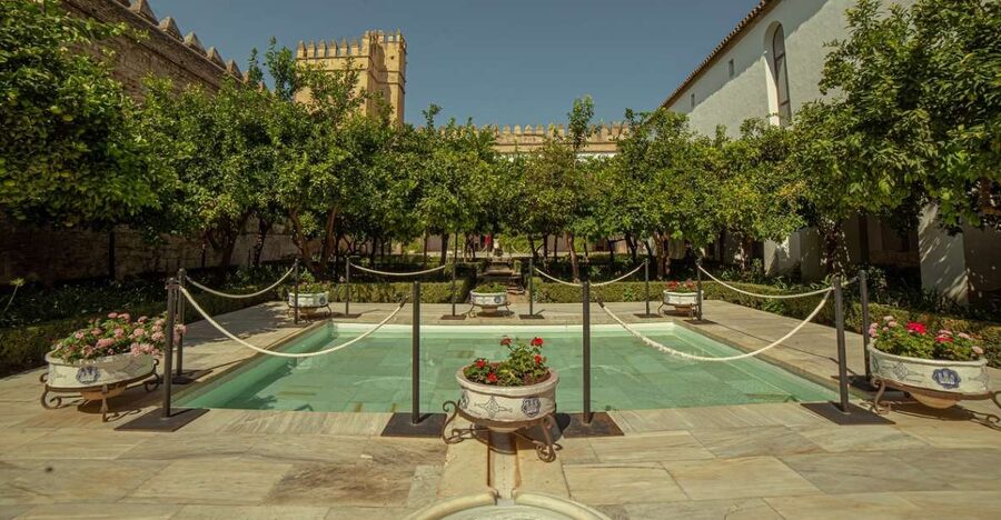 Córdoba: Mosque-Cathedral and Alcazar Tour - Where it starts: Courtyard of the Orange Trees, bell-tower entrance