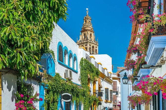 Cordoba Mosque-Cathedral & City Private Tour - Should you book this private tour of the Mosque-Cathedral and La Juderia?