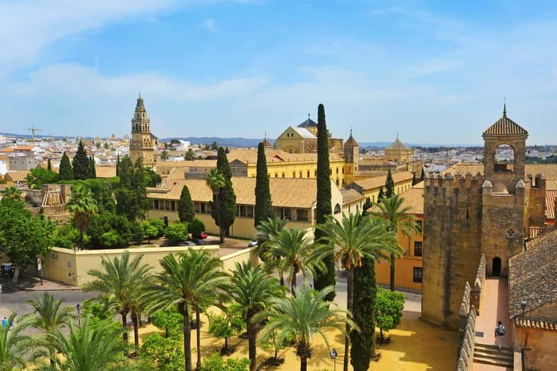 Córdoba: Mosque-Cathedral, Jewish Quarter and Alcázar Tour - Meeting in Plaza Triunfo and keeping logistics from eating your time