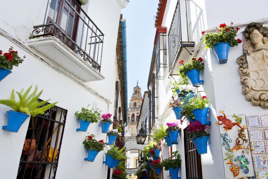 Cordoba Mosque & Jewish Quarter Tour with Tickets - Mosque-Cathedral of Córdoba: how your 75 minutes should feel