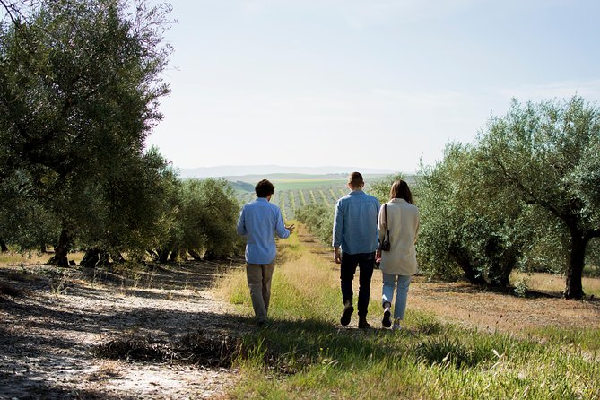 Cordoba Olive Oil mill, Wine, Passion - Key highlights worth your attention