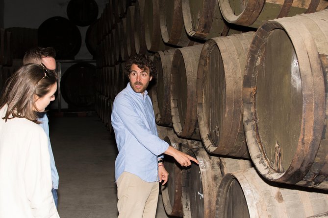 Cordoba Olive Oil mill, Wine, Passion - Is This Tour for You? The Best Match and the Possible Miss