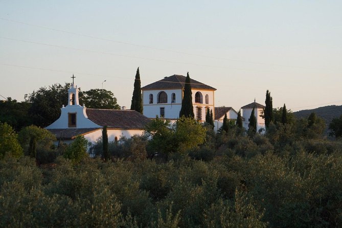 Cordoba Olive Oil mill, Wine, Passion - Inside the Olive Mill: From Olive to Extra Virgin