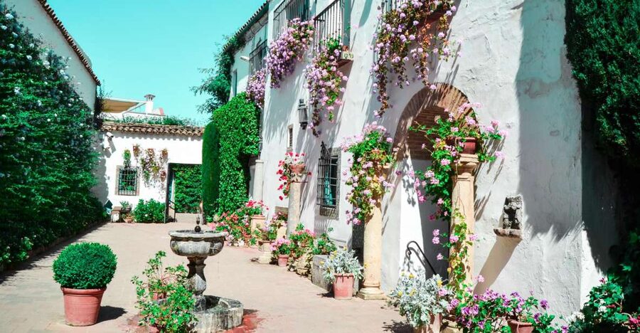 Cordoba: Patios and Viana Palace Tour - Key things to know before you go