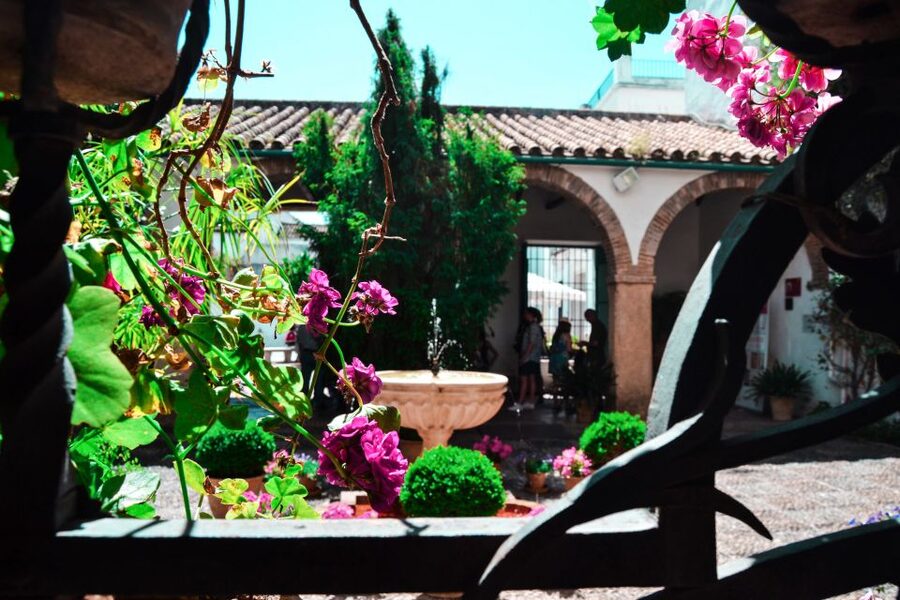 Cordoba: Patios and Viana Palace Tour - Why the Viana Palace patios are worth your time