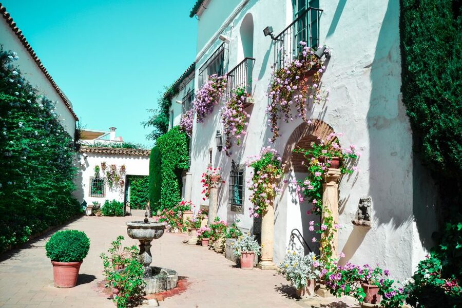 Cordoba: Patios and Viana Palace Tour - The 12 patios and courtyards: a walk through changing eras