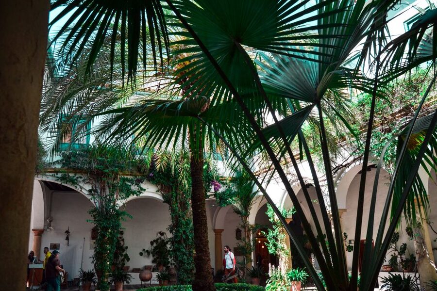 Cordoba: Patios and Viana Palace Tour - How to get the most out of a Spanish guided tour