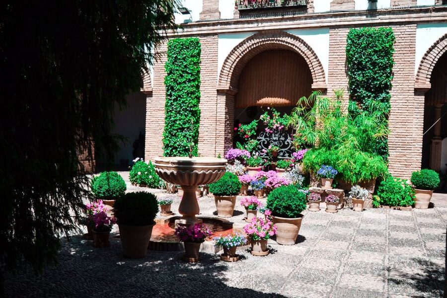 Cordoba: Patios and Viana Palace Tour - Comfort and practical tips for the 2-hour pace