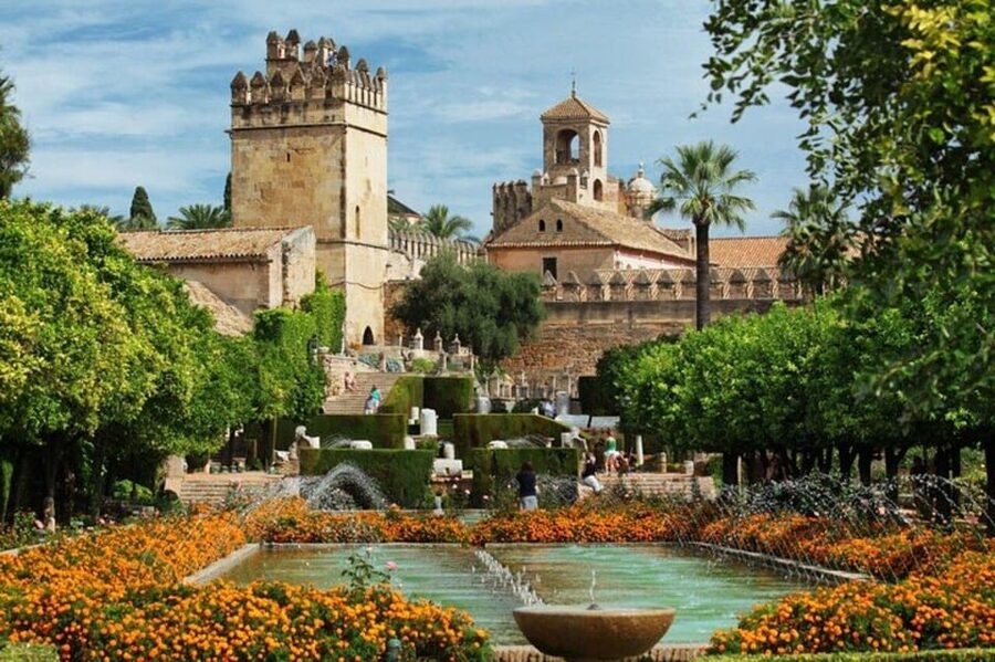 Cordoba : Patios Private Walking Tour - A private patios walk that fits into 2 hours