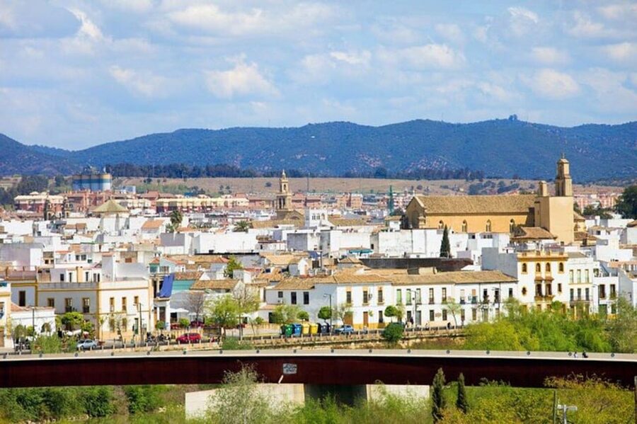 Cordoba : Patios Private Walking Tour - Meet at C. Isabel Losa, 8 and let the guide do the navigating