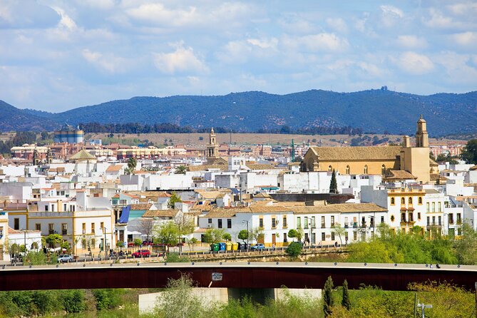 Cordoba Private Custom Walking Tour With A Guide (Private Tour) - A private, no-fixed-itinerary walk that works in Córdoba