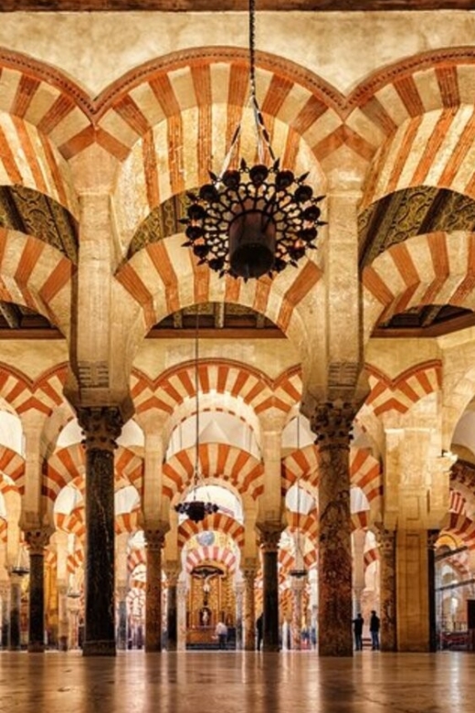 Córdoba: Private Mosque-Cathedral and City Tour - Key highlights to expect