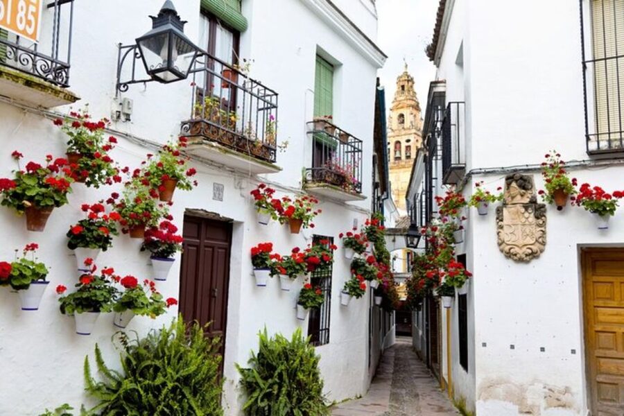 Córdoba: Private Mosque-Cathedral and City Tour - Price and value: is $141 per person a good deal?