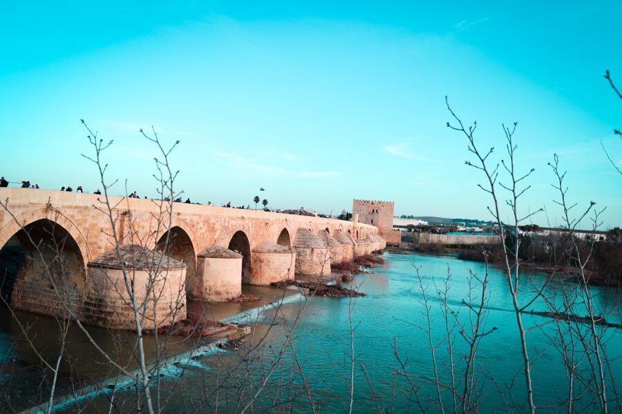 Córdoba: Private Walking Tour - Private guide value: why official context changes the experience