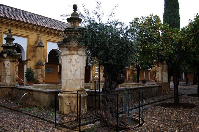 Cordoba Relax Tour in English Tickets included - Hospital del Cardenal Salazar: Córdoba as a place of learning